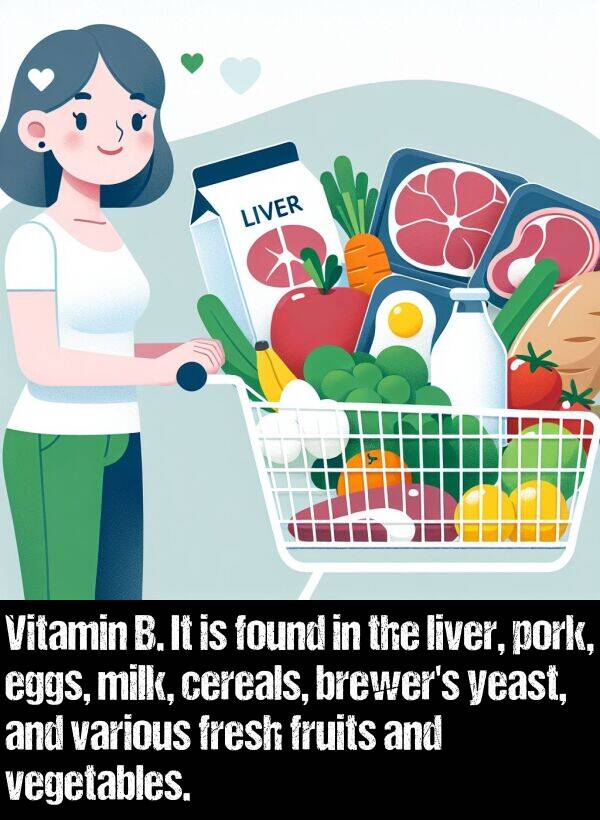 liver: Vitamin B. It is found in the liver, pork, eggs, milk, cereals, brewer's yeast, and various fresh fruits and vegetables.