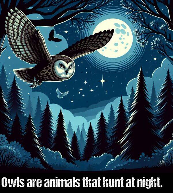 are: Owls are animals that hunt at night.