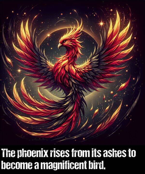 become: The phoenix rises from its ashes to become a magnificent bird.