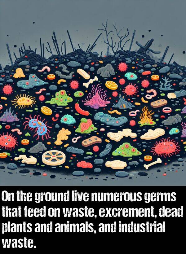 live: On the ground live numerous germs that feed on waste, excrement, dead plants and animals, and industrial waste.