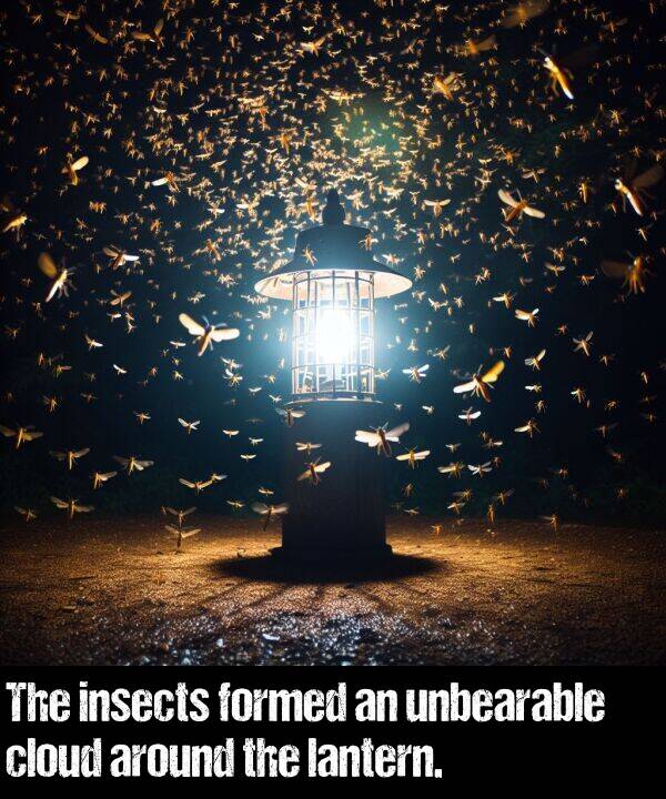 lantern: The insects formed an unbearable cloud around the lantern.