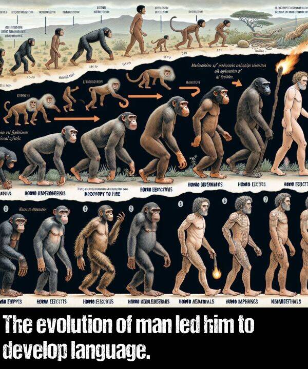 led: The evolution of man led him to develop language.