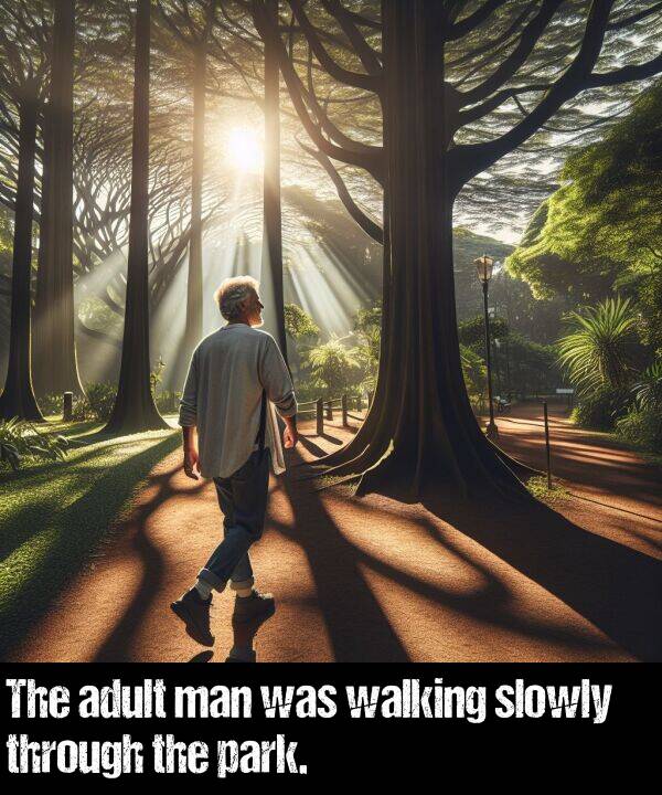 adult: The adult man was walking slowly through the park.