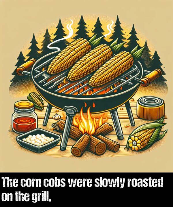 cobs: The corn cobs were slowly roasted on the grill.