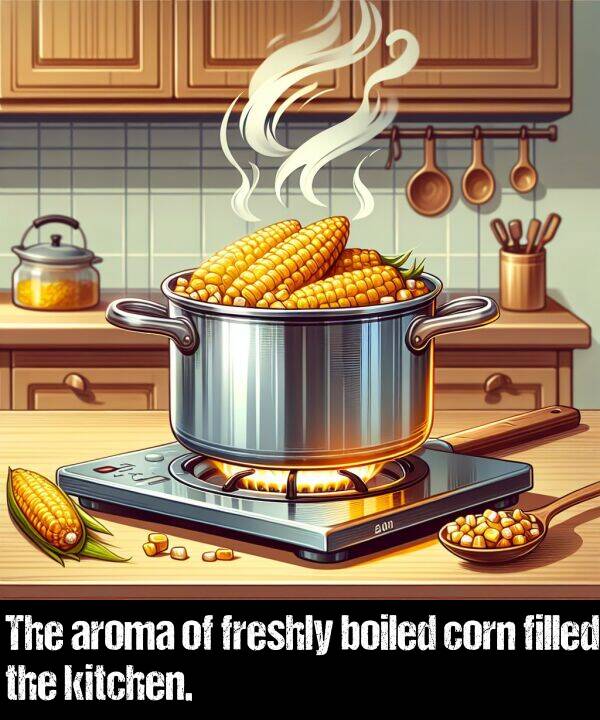 boiled: The aroma of freshly boiled corn filled the kitchen.
