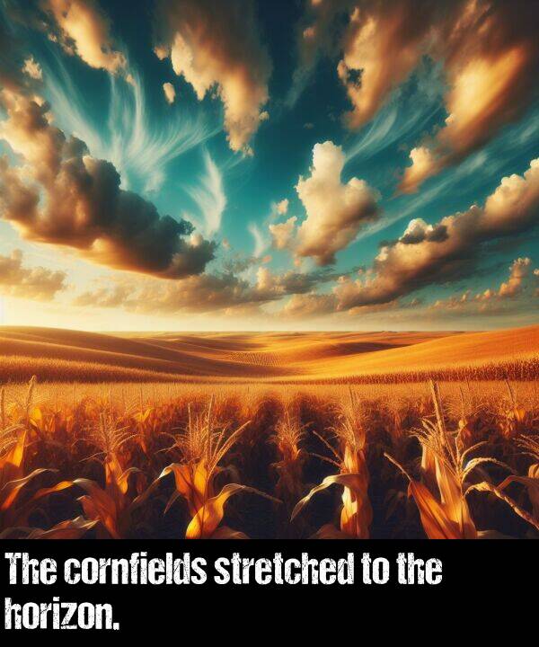 stretched: The cornfields stretched to the horizon.
