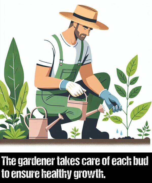 each: The gardener takes care of each bud to ensure healthy growth.