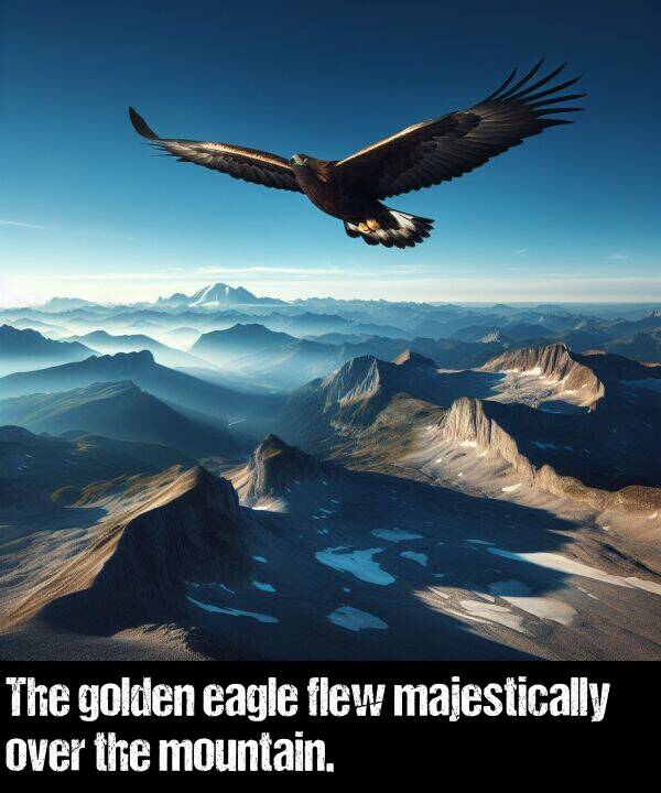 eagle: The golden eagle flew majestically over the mountain.