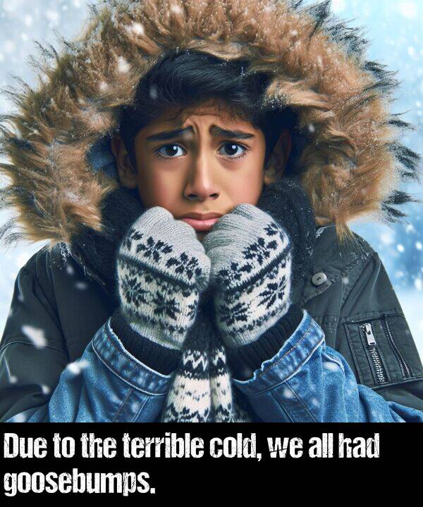 had: Due to the terrible cold, we all had goosebumps.