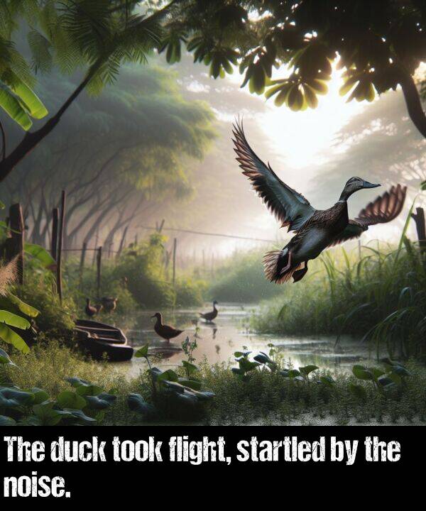 noise: The duck took flight, startled by the noise.