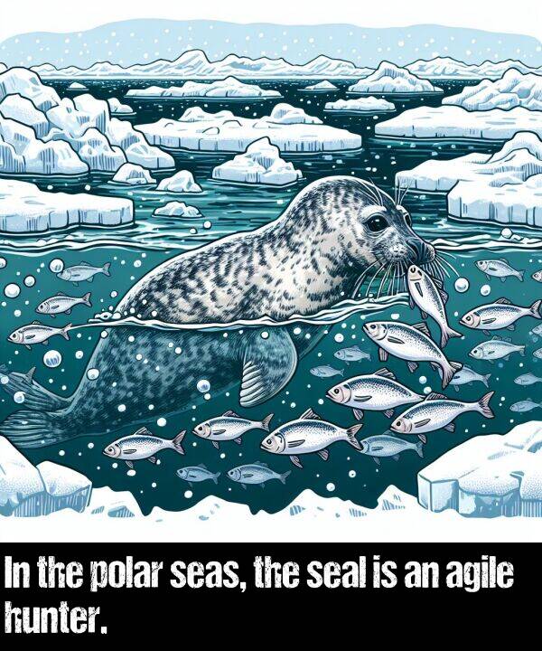 seas: In the polar seas, the seal is an agile hunter.