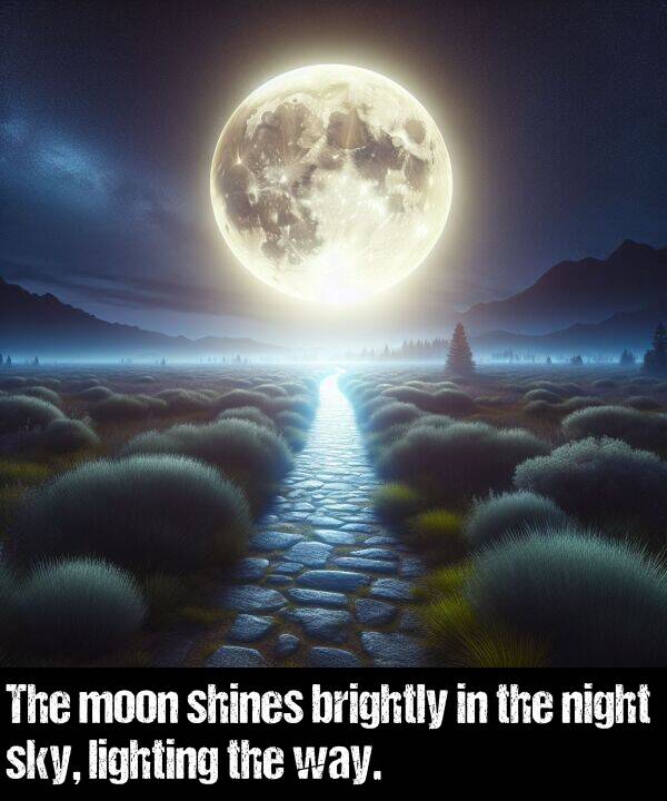lighting: The moon shines brightly in the night sky, lighting the way.