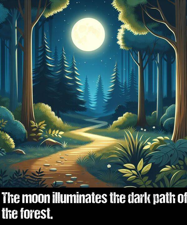 path: The moon illuminates the dark path of the forest.