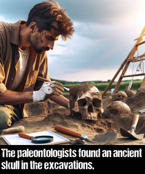 paleontologists: The paleontologists found an ancient skull in the excavations.