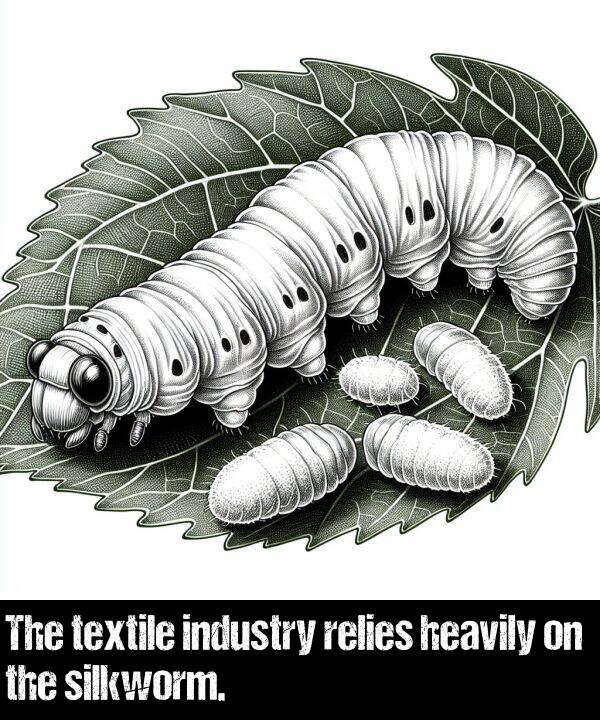 textile: The textile industry relies heavily on the silkworm.