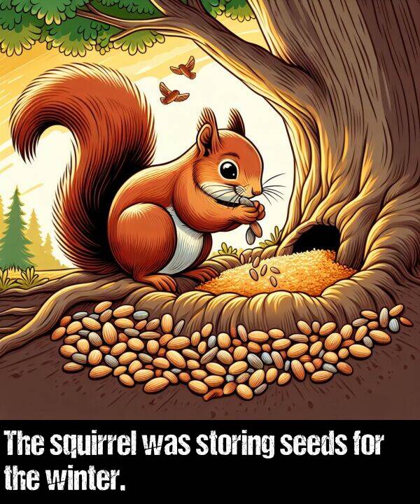 winter: The squirrel was storing seeds for the winter.