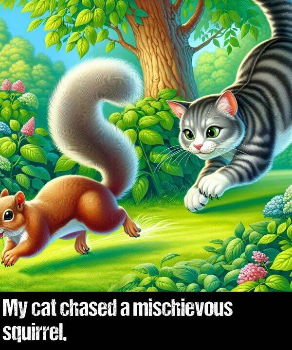 cat: My cat chased a mischievous squirrel.