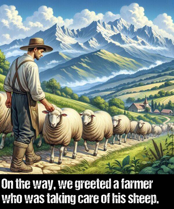 way: On the way, we greeted a farmer who was taking care of his sheep.