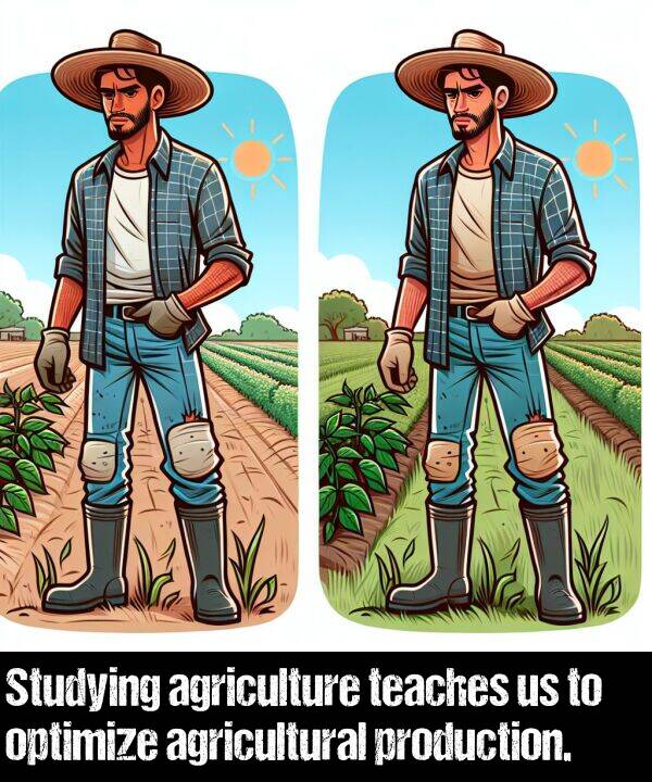teaches: Studying agriculture teaches us to optimize agricultural production.