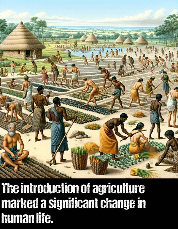 marked: The introduction of agriculture marked a significant change in human life.