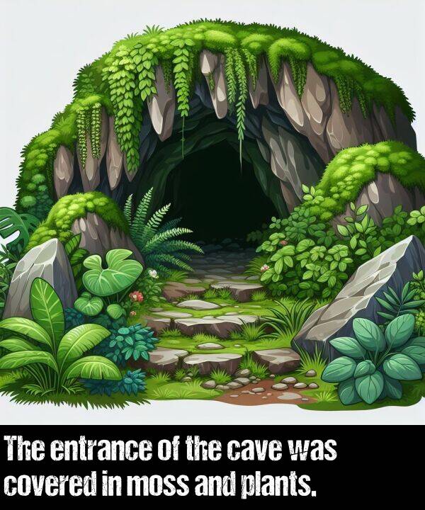 covered: The entrance of the cave was covered in moss and plants.
