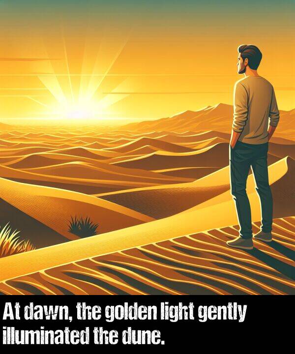 light: At dawn, the golden light gently illuminated the dune.