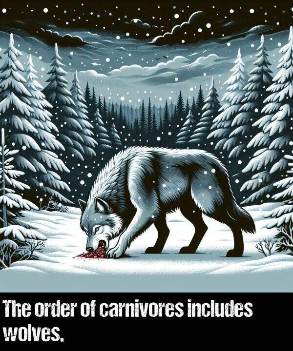 order: The order of carnivores includes wolves.