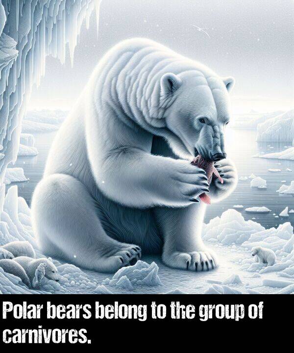 belong: Polar bears belong to the group of carnivores.