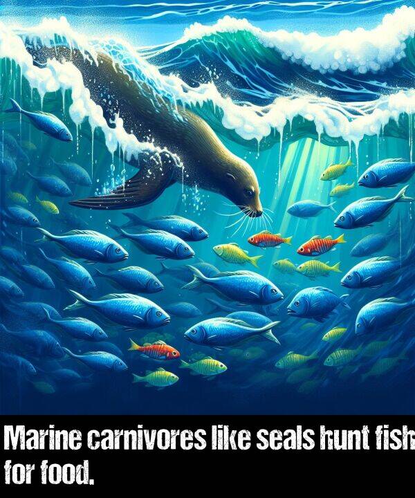 like: Marine carnivores like seals hunt fish for food.