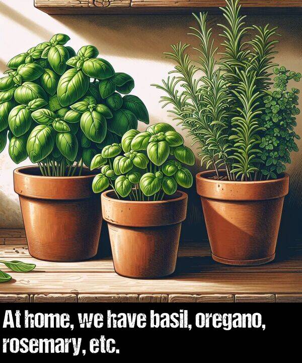 have: At home, we have basil, oregano, rosemary, etc.