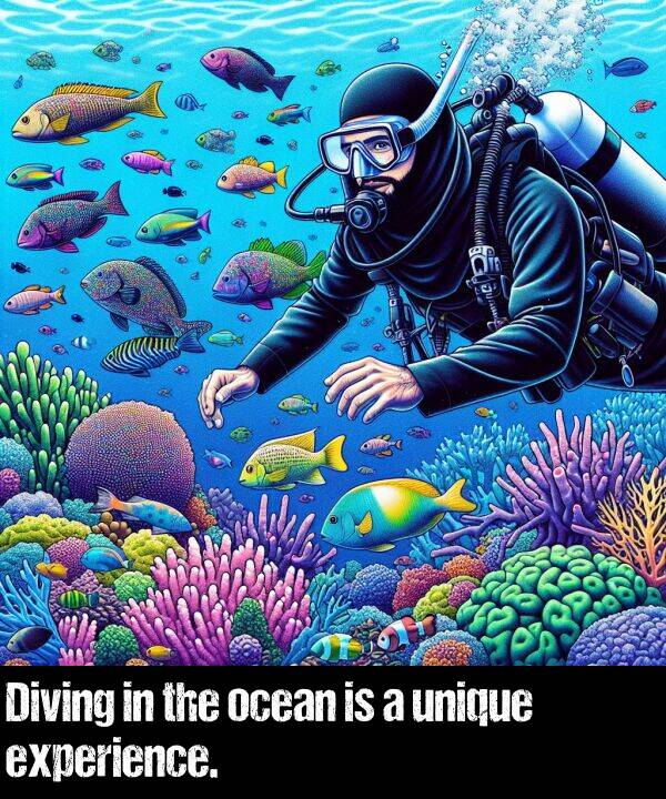 unique: Diving in the ocean is a unique experience.