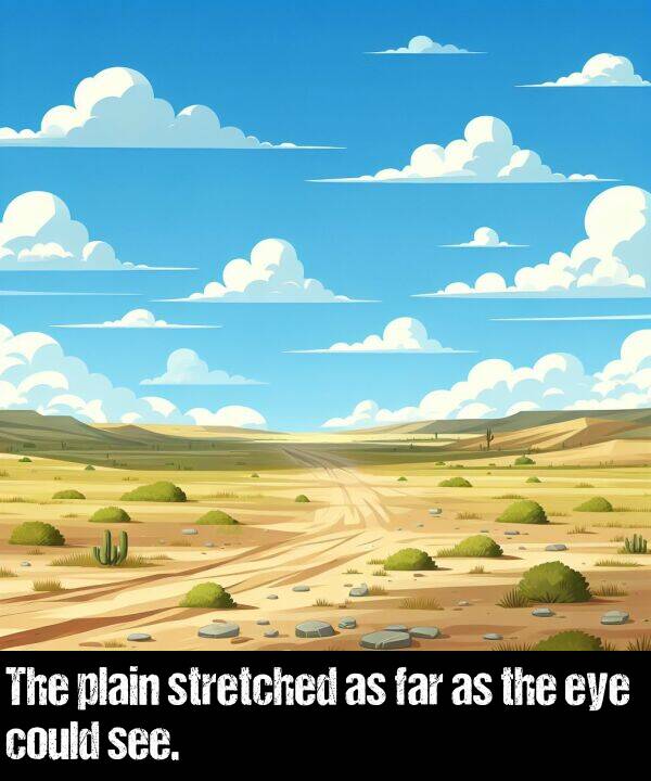 stretched: The plain stretched as far as the eye could see.