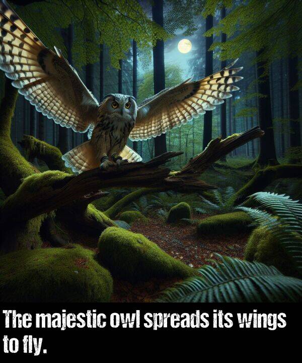 spreads: The majestic owl spreads its wings to fly.