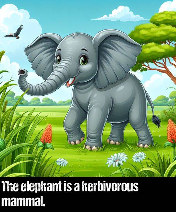 mammal: The elephant is a herbivorous mammal.