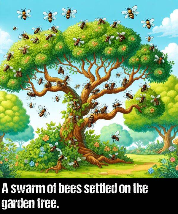 bees: A swarm of bees settled on the garden tree.