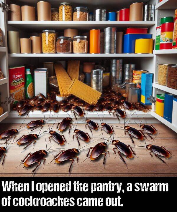 came: When I opened the pantry, a swarm of cockroaches came out.