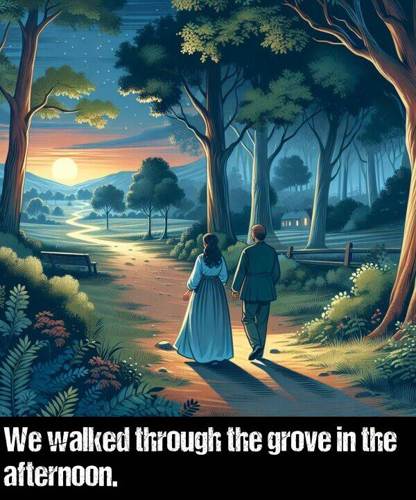 walked: We walked through the grove in the afternoon.