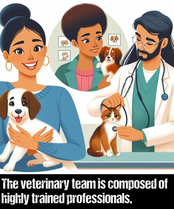 team: The veterinary team is composed of highly trained professionals.