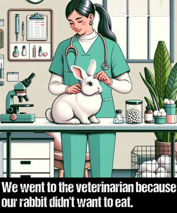 because: We went to the veterinarian because our rabbit didn't want to eat.