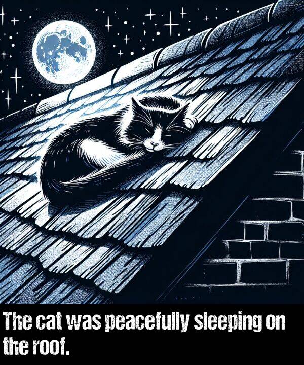 cat: The cat was peacefully sleeping on the roof.