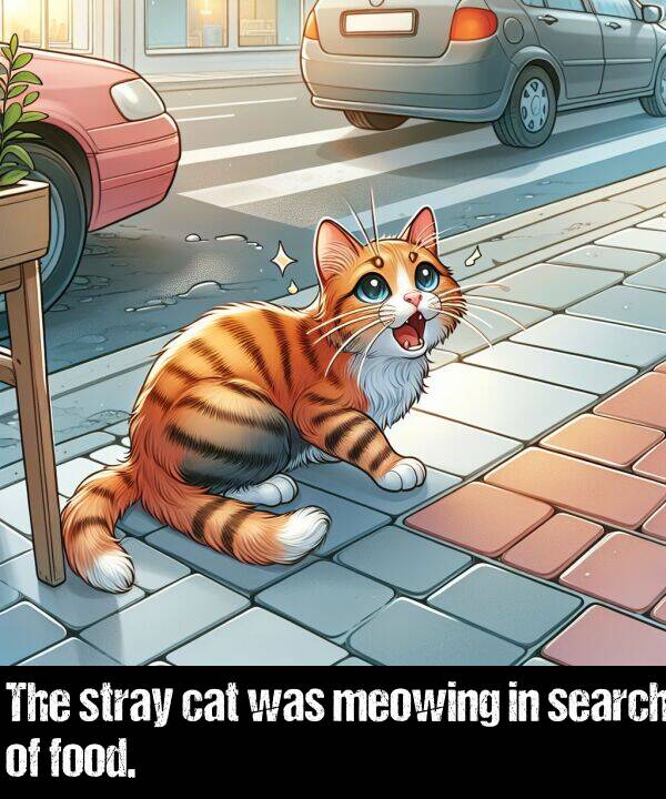 cat: The stray cat was meowing in search of food.