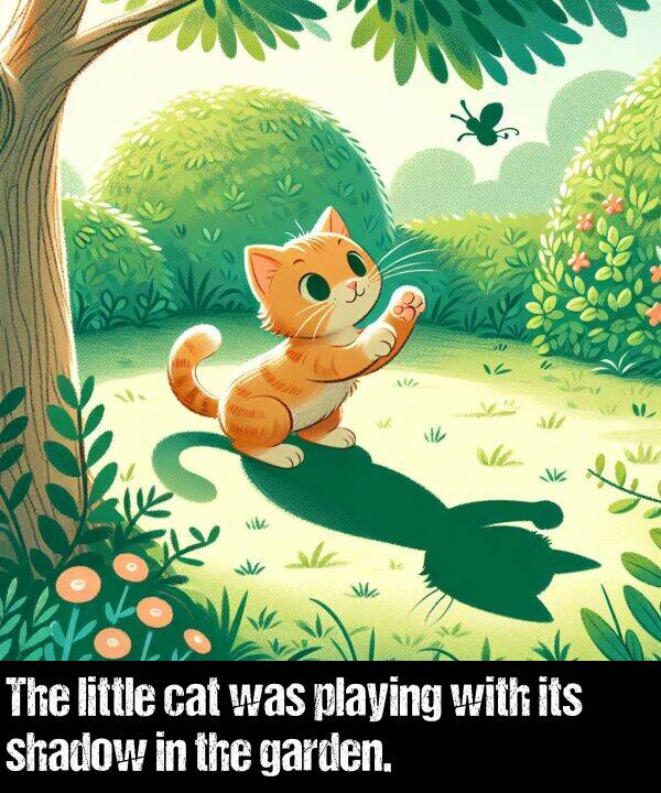 cat: The little cat was playing with its shadow in the garden.