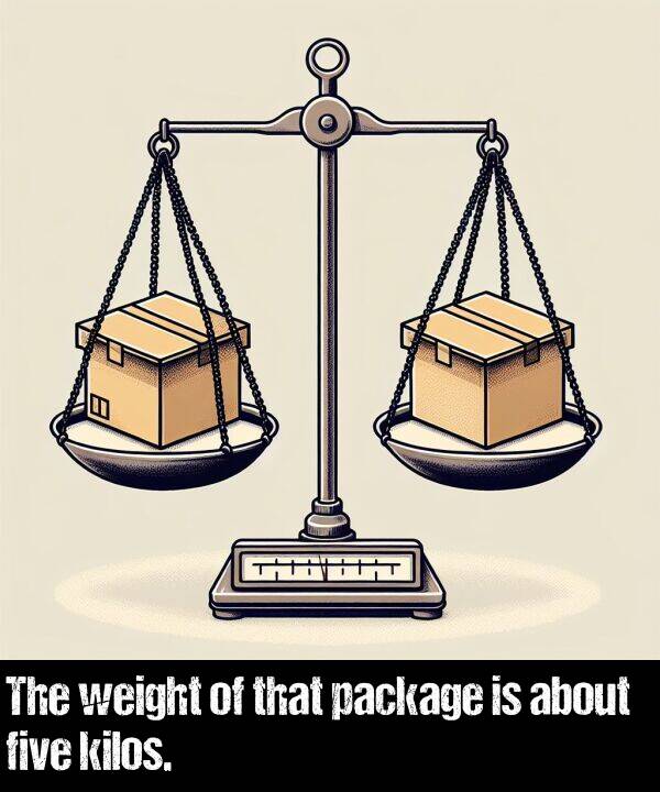 about: The weight of that package is about five kilos.
