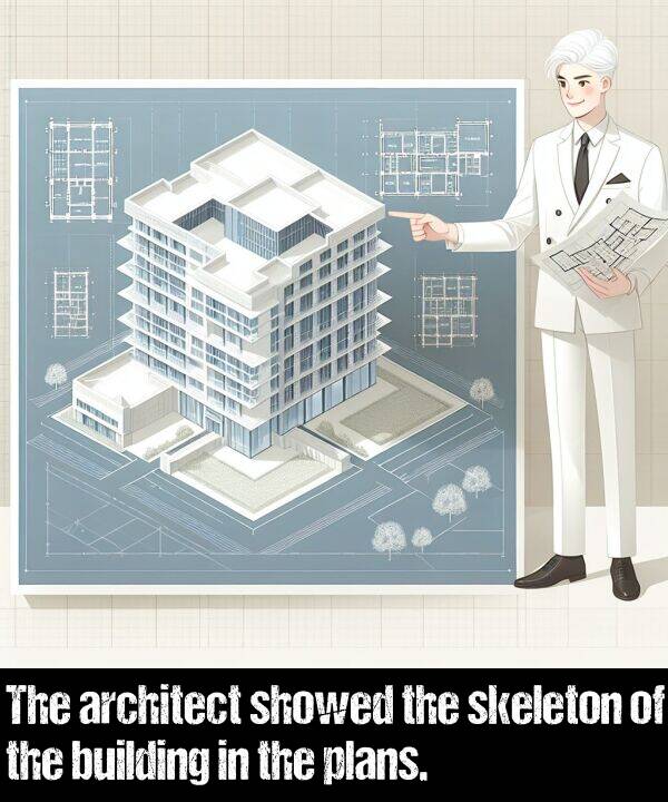 building: The architect showed the skeleton of the building in the plans.