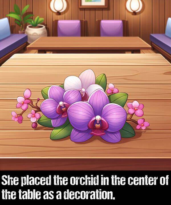 table: She placed the orchid in the center of the table as a decoration.