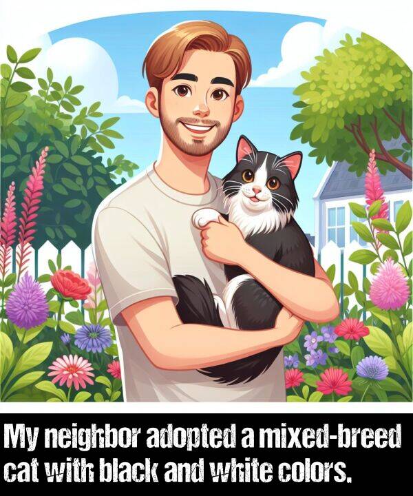 black: My neighbor adopted a mixed-breed cat with black and white colors.