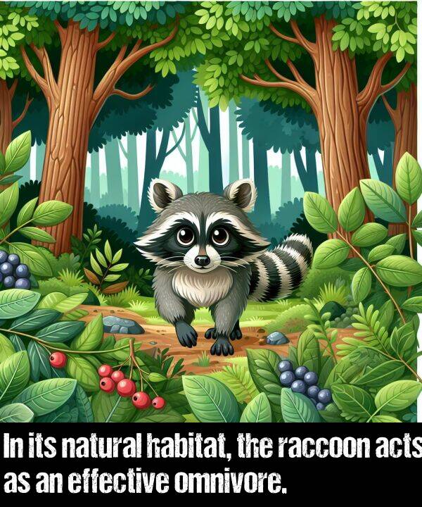 natural: In its natural habitat, the raccoon acts as an effective omnivore.