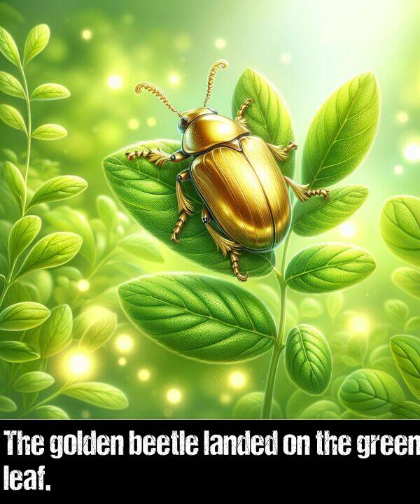 landed: The golden beetle landed on the green leaf.