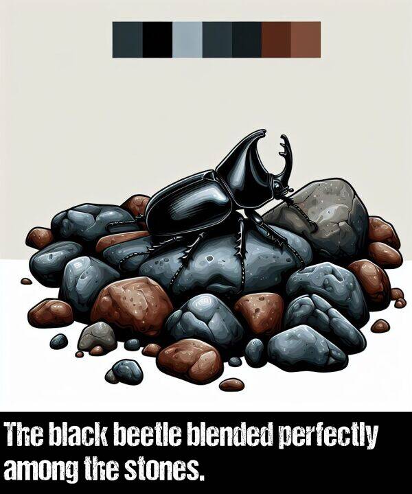 black: The black beetle blended perfectly among the stones.
