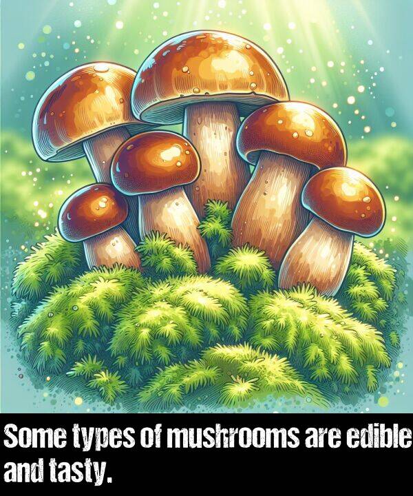 are: Some types of mushrooms are edible and tasty.